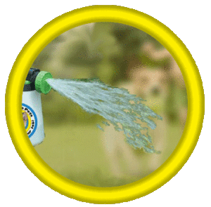 Yard Deodorizer and Eliminator Spray remove urine and poop odor parvo